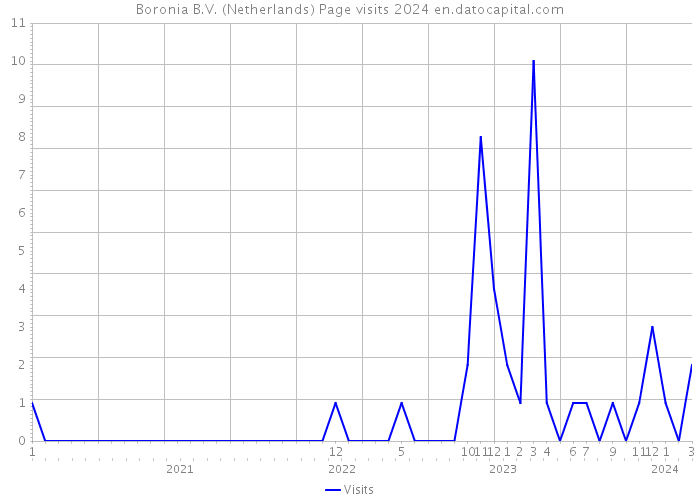 Boronia B.V. (Netherlands) Page visits 2024 