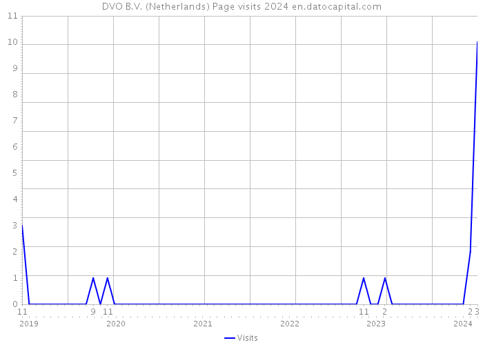 DVO B.V. (Netherlands) Page visits 2024 