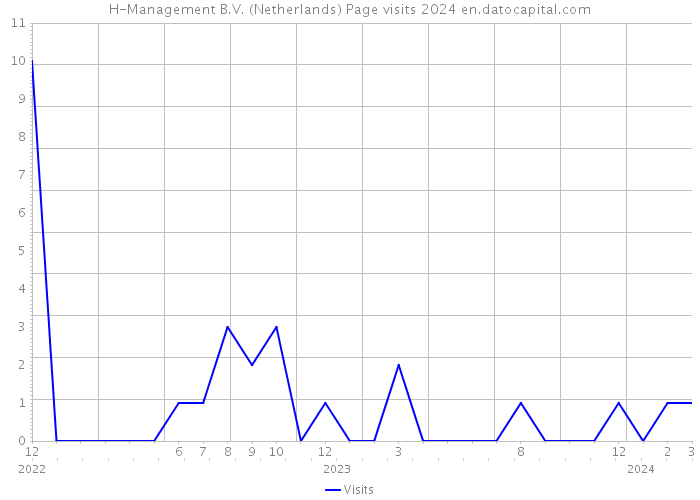 H-Management B.V. (Netherlands) Page visits 2024 