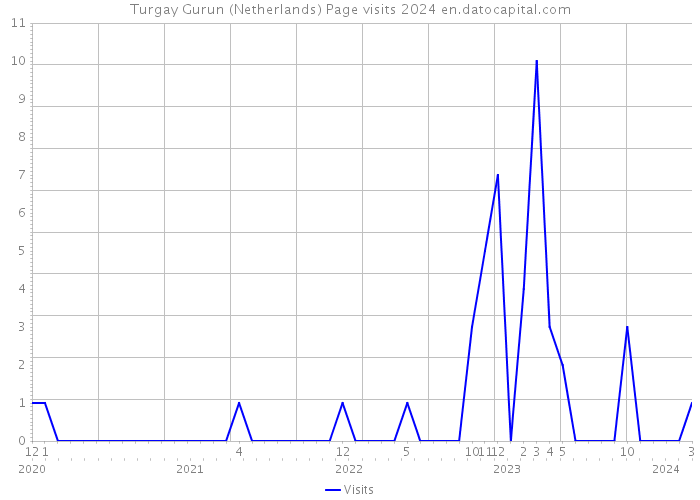 Turgay Gurun (Netherlands) Page visits 2024 