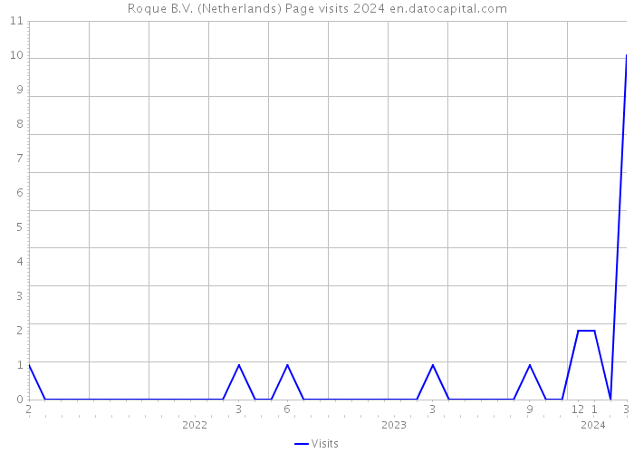 Roque B.V. (Netherlands) Page visits 2024 