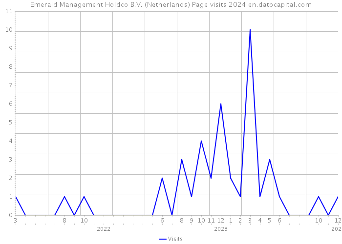 Emerald Management Holdco B.V. (Netherlands) Page visits 2024 