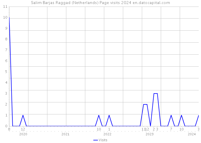 Salim Barjas Raggad (Netherlands) Page visits 2024 