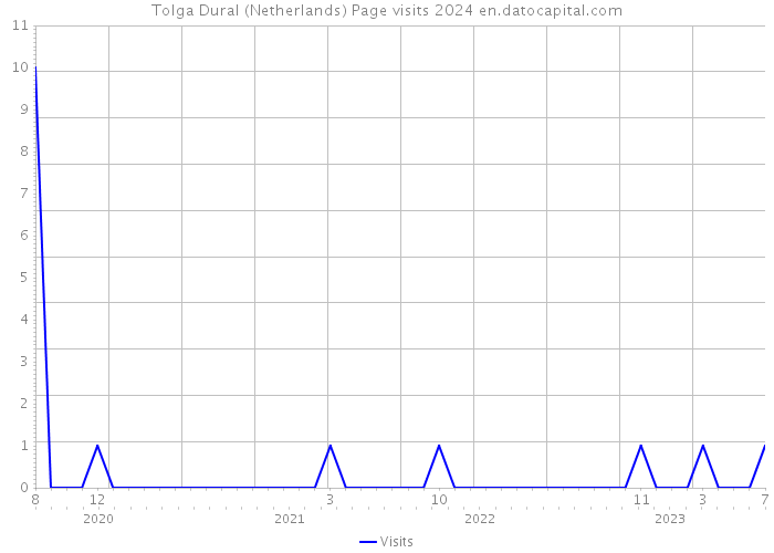 Tolga Dural (Netherlands) Page visits 2024 