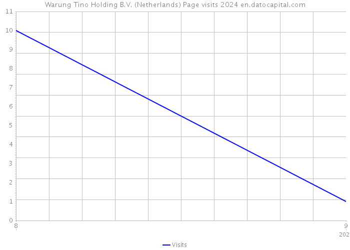 Warung Tino Holding B.V. (Netherlands) Page visits 2024 