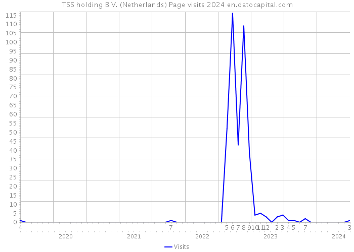 TSS holding B.V. (Netherlands) Page visits 2024 