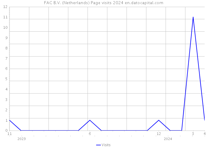 FAC B.V. (Netherlands) Page visits 2024 
