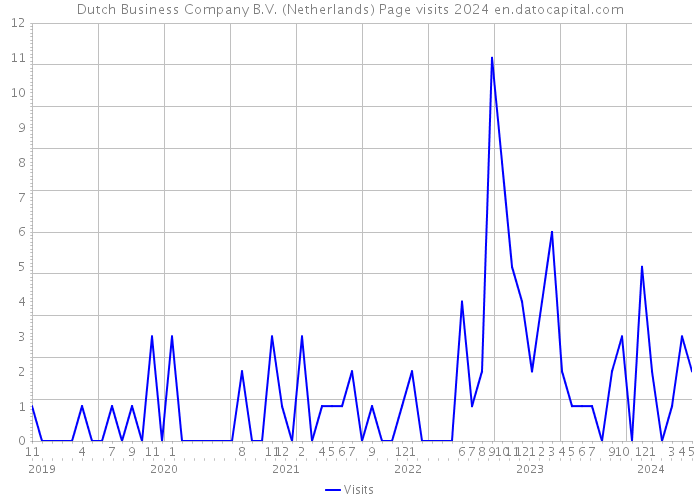 Dutch Business Company B.V. (Netherlands) Page visits 2024 