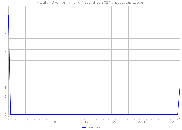 Majulan B.V. (Netherlands) Searches 2024 