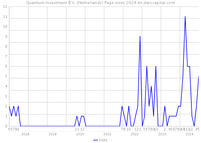 Quantum Investment B.V. (Netherlands) Page visits 2024 