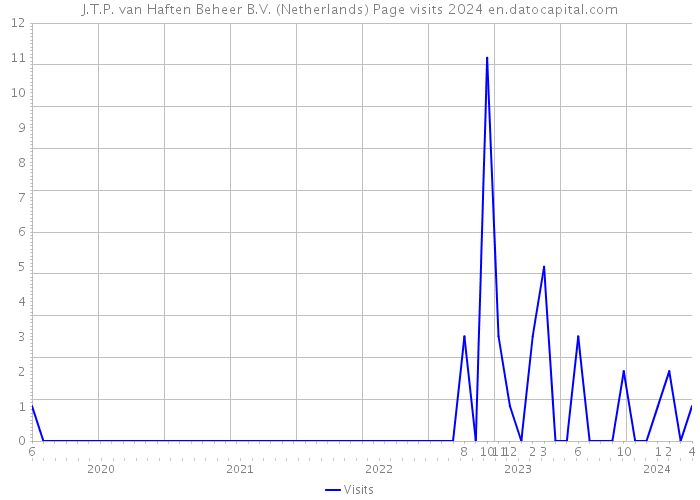 J.T.P. van Haften Beheer B.V. (Netherlands) Page visits 2024 