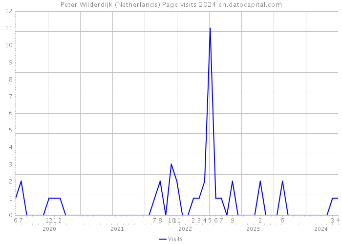 Peter Wilderdijk (Netherlands) Page visits 2024 