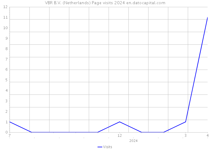 VBR B.V. (Netherlands) Page visits 2024 