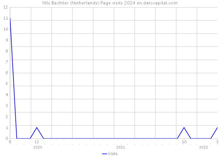 Nils Bachtler (Netherlands) Page visits 2024 