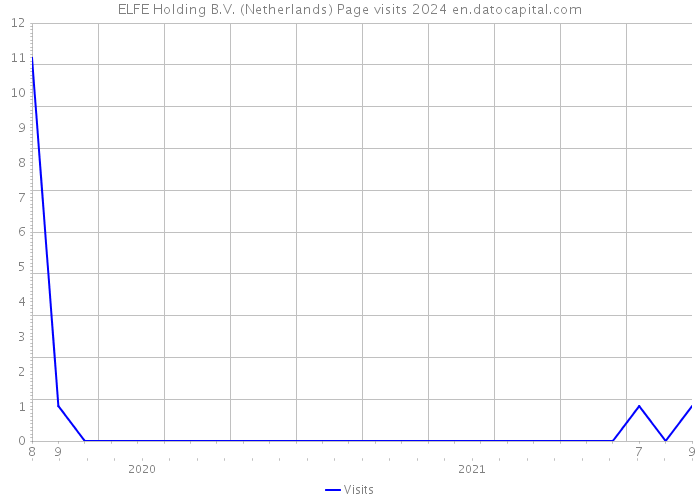 ELFE Holding B.V. (Netherlands) Page visits 2024 
