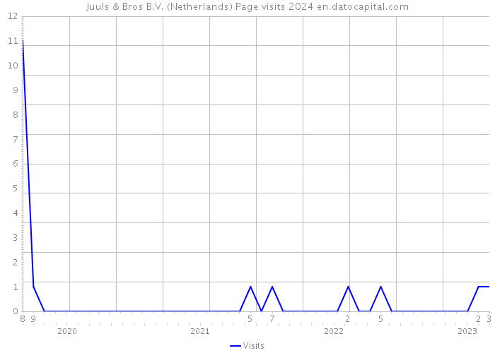 Juuls & Bros B.V. (Netherlands) Page visits 2024 