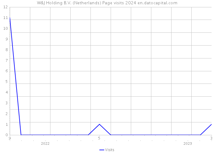 W&J Holding B.V. (Netherlands) Page visits 2024 