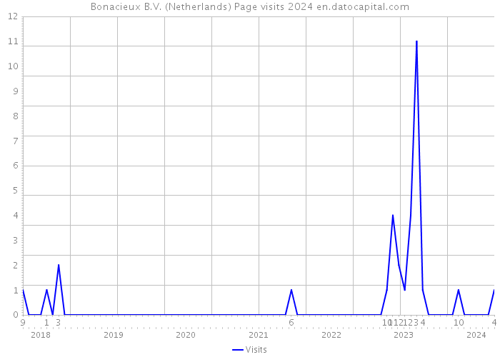 Bonacieux B.V. (Netherlands) Page visits 2024 