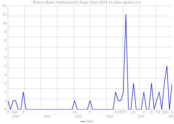 Branco Buter (Netherlands) Page visits 2024 