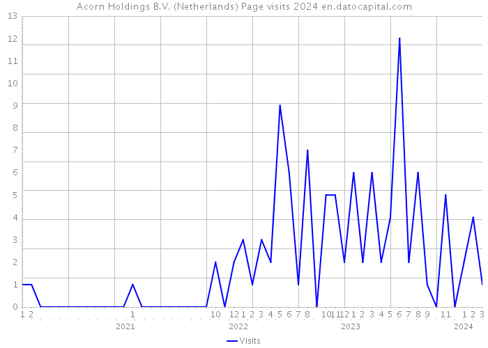 Acorn Holdings B.V. (Netherlands) Page visits 2024 