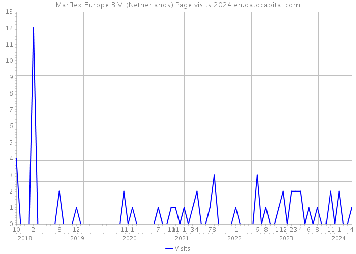 Marflex Europe B.V. (Netherlands) Page visits 2024 