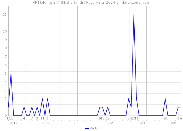 RP Holding B.V. (Netherlands) Page visits 2024 