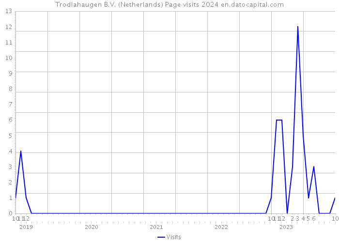 Trodlahaugen B.V. (Netherlands) Page visits 2024 