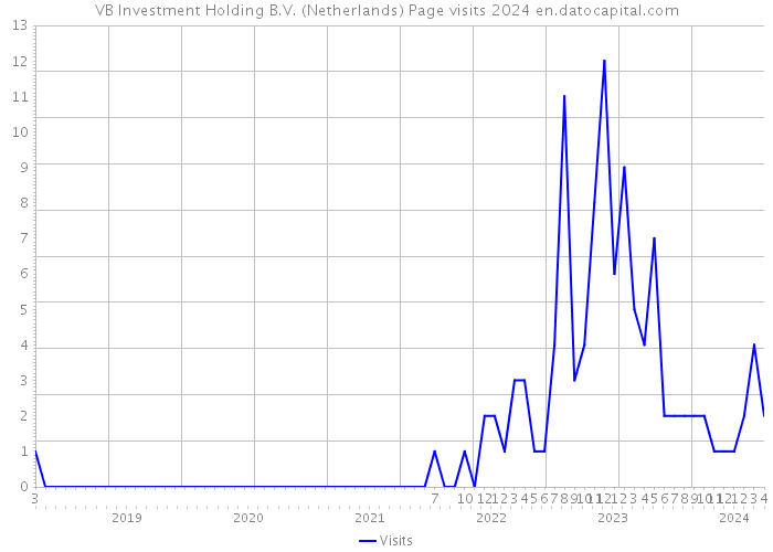 VB Investment Holding B.V. (Netherlands) Page visits 2024 