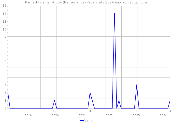 Radjeshkoemar Algoe (Netherlands) Page visits 2024 