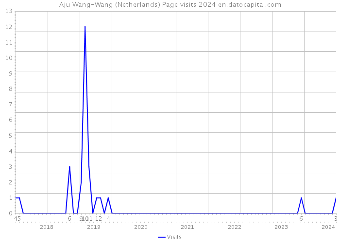 Aju Wang-Wang (Netherlands) Page visits 2024 