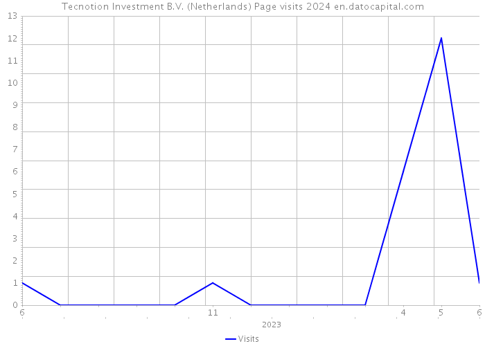 Tecnotion Investment B.V. (Netherlands) Page visits 2024 