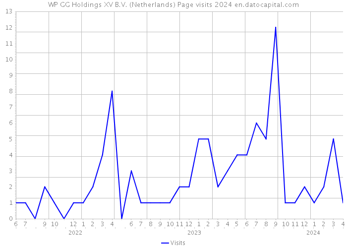 WP GG Holdings XV B.V. (Netherlands) Page visits 2024 