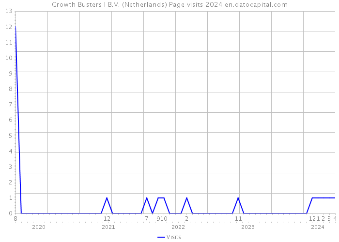 Growth Busters I B.V. (Netherlands) Page visits 2024 
