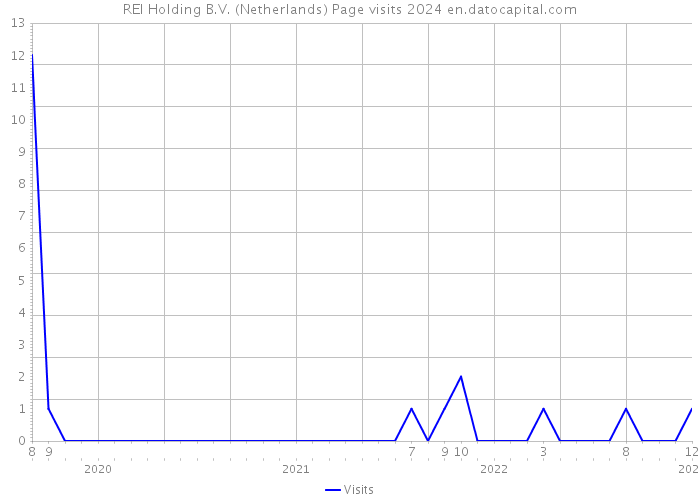 REI Holding B.V. (Netherlands) Page visits 2024 