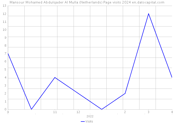 Mansour Mohamed Abdulqader Al Mulla (Netherlands) Page visits 2024 