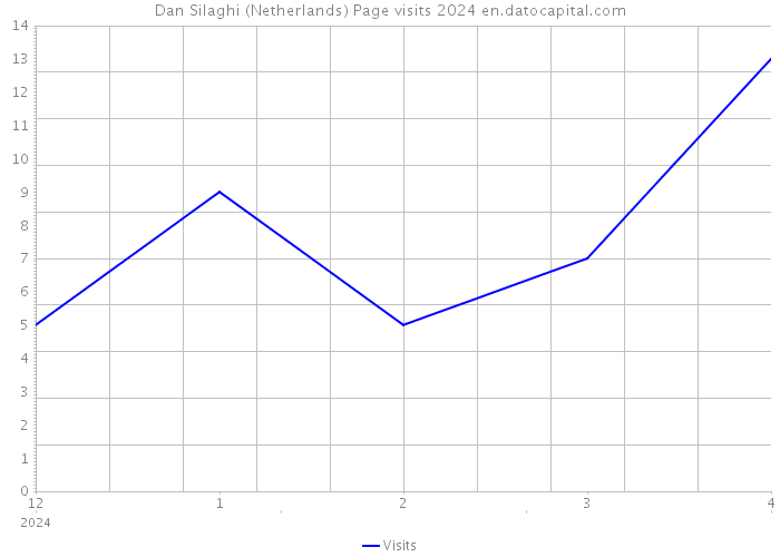 Dan Silaghi (Netherlands) Page visits 2024 