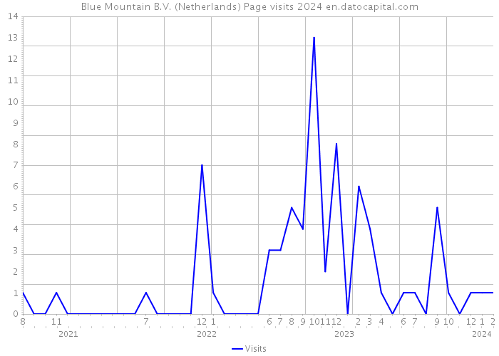 Blue Mountain B.V. (Netherlands) Page visits 2024 