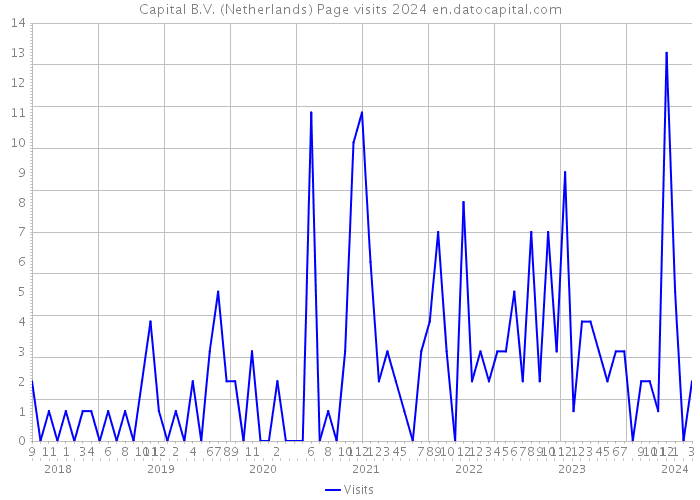 Capital B.V. (Netherlands) Page visits 2024 
