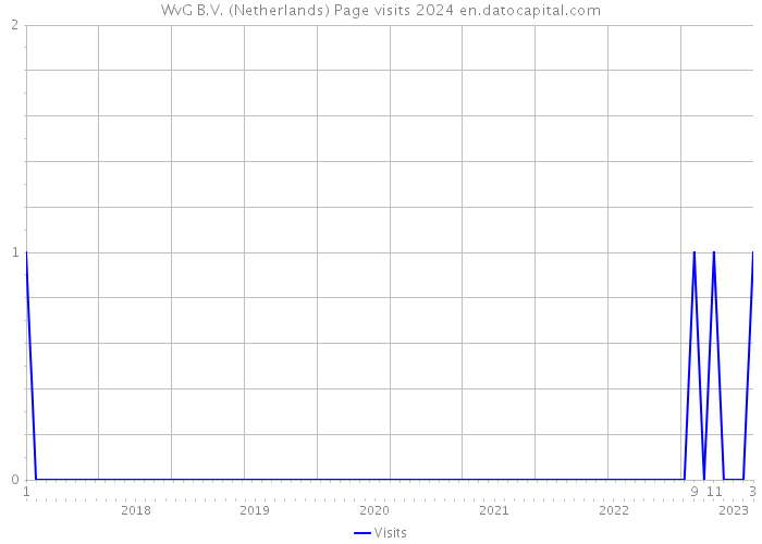 WvG B.V. (Netherlands) Page visits 2024 