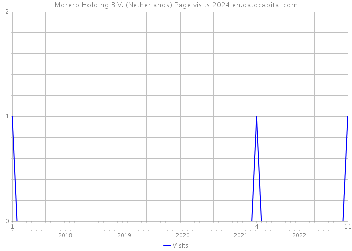Morero Holding B.V. (Netherlands) Page visits 2024 