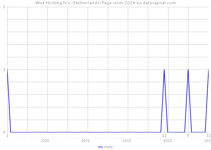 Wies Holding N.V. (Netherlands) Page visits 2024 