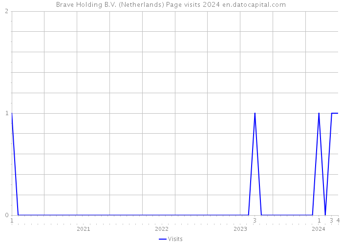 Brave Holding B.V. (Netherlands) Page visits 2024 