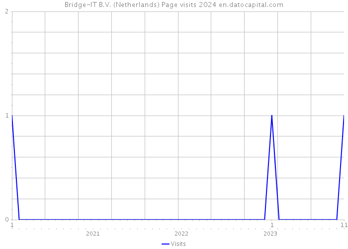 Bridge-IT B.V. (Netherlands) Page visits 2024 