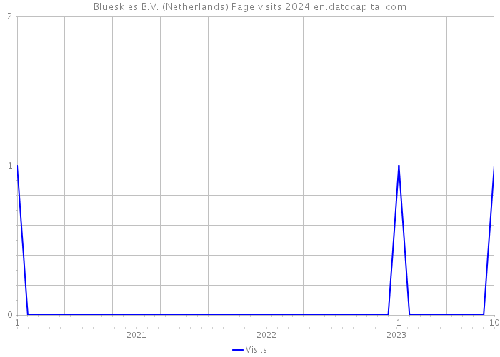 Blueskies B.V. (Netherlands) Page visits 2024 