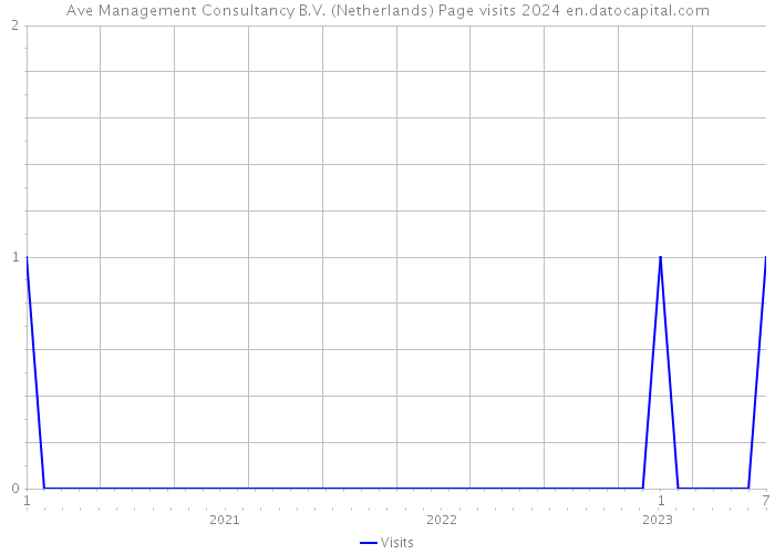 Ave Management Consultancy B.V. (Netherlands) Page visits 2024 
