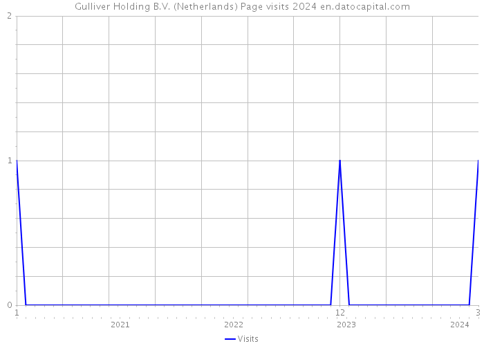 Gulliver Holding B.V. (Netherlands) Page visits 2024 