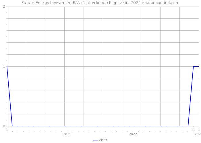 Future Energy Investment B.V. (Netherlands) Page visits 2024 