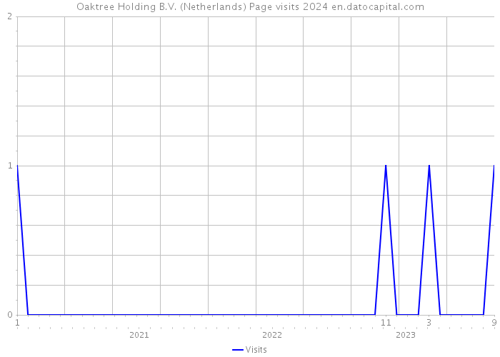 Oaktree Holding B.V. (Netherlands) Page visits 2024 