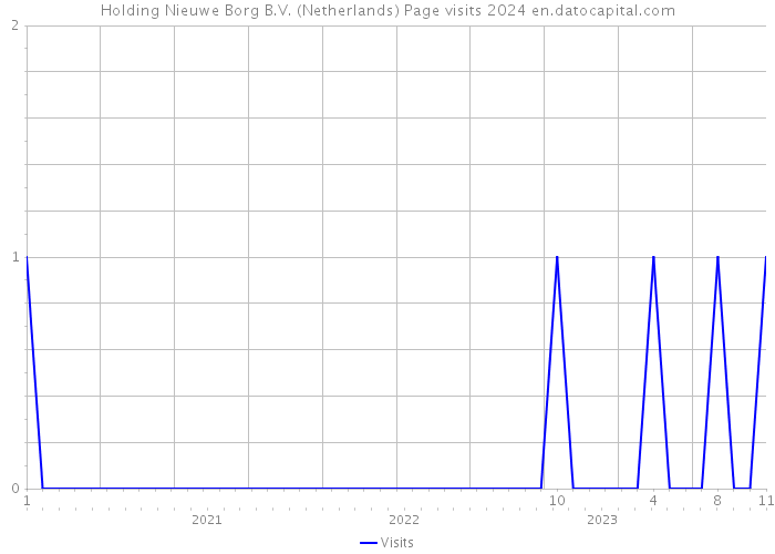 Holding Nieuwe Borg B.V. (Netherlands) Page visits 2024 