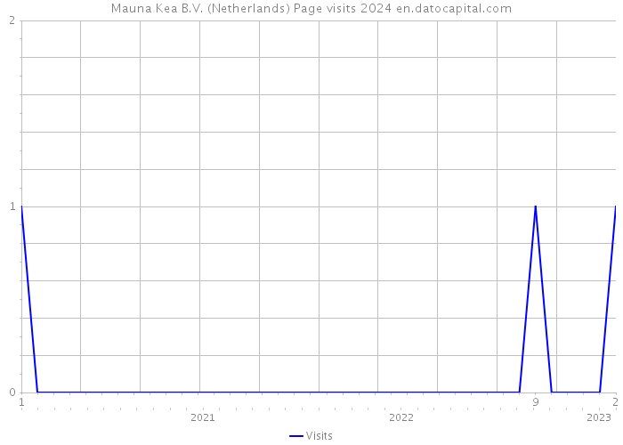 Mauna Kea B.V. (Netherlands) Page visits 2024 